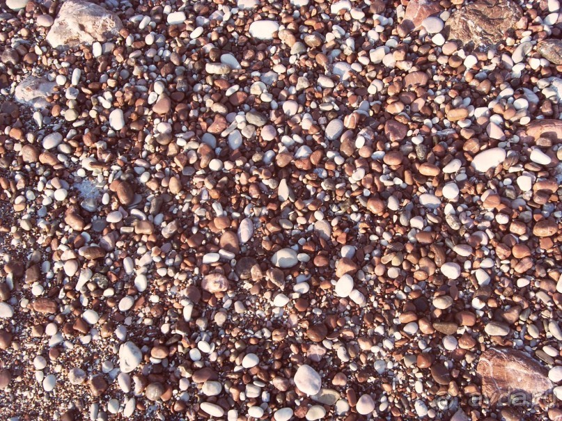 фото Garni Hotel Meduza