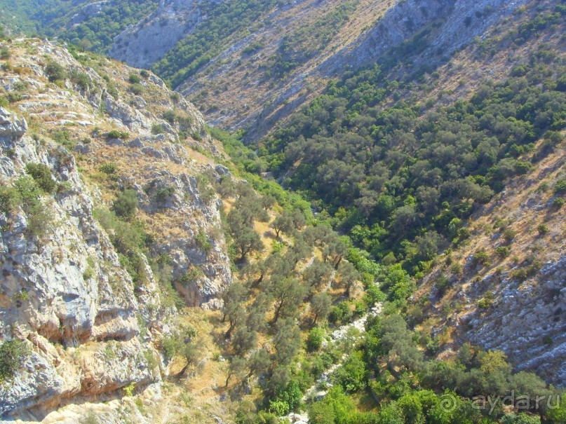 фото Garni Hotel Meduza