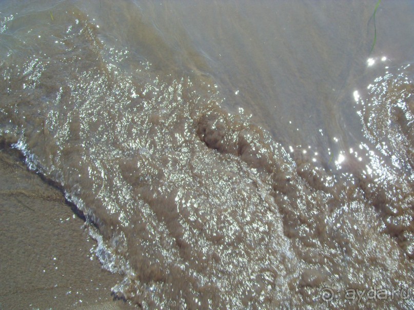 фото Garni Hotel Meduza