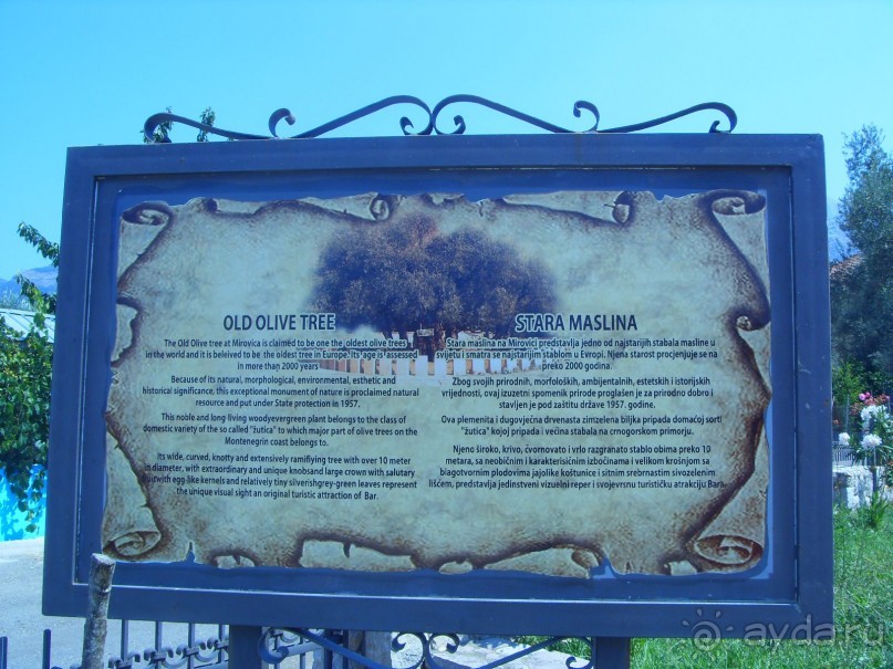 фото Garni Hotel Meduza