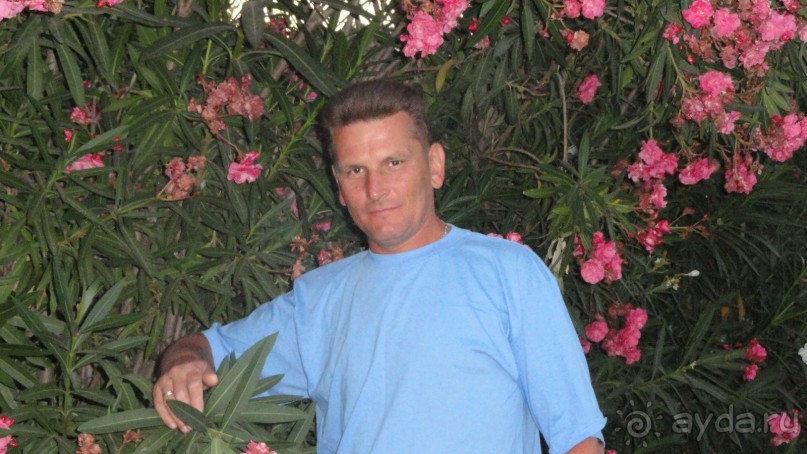 возле номера