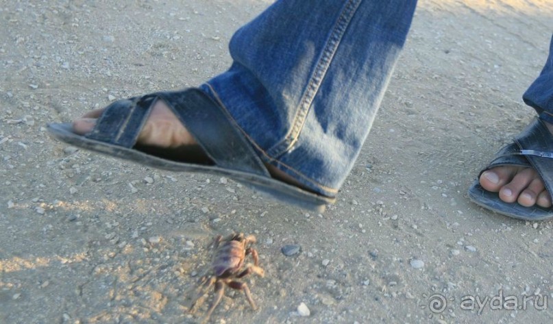 Дорогами Сенегала