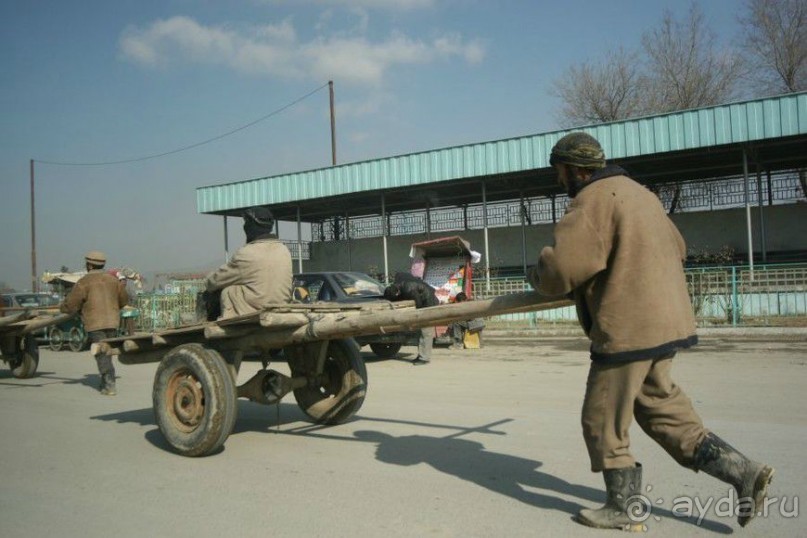 Альбом отзыва " Афганский январь"