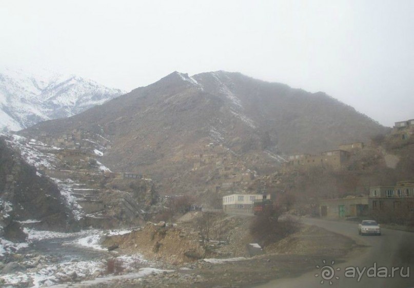 Альбом отзыва " Афганский январь"