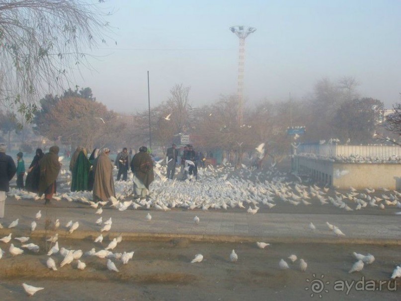  Афганский январь