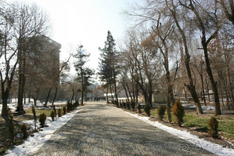  Афганский январь