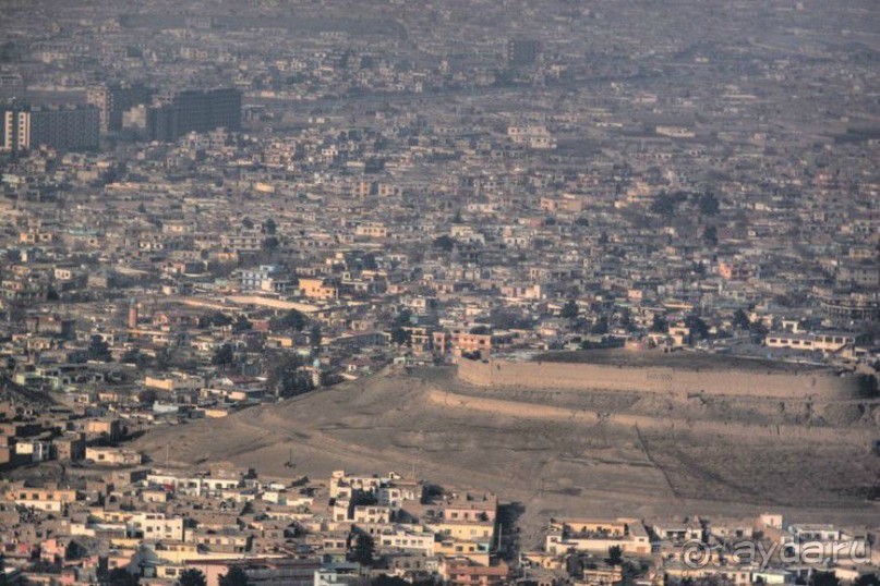  Афганский январь