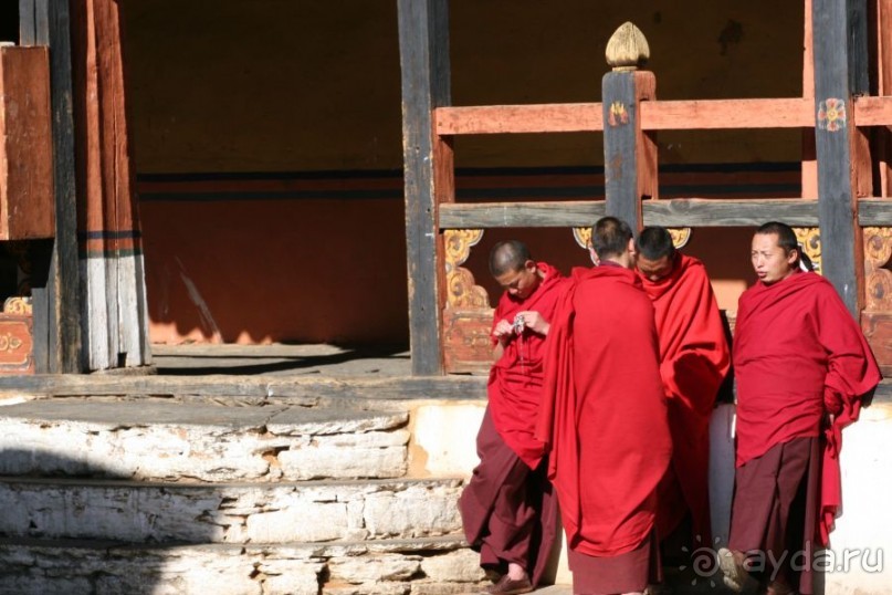 Игрушечное королевство громового дракона