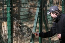 Игрушечное королевство громового дракона