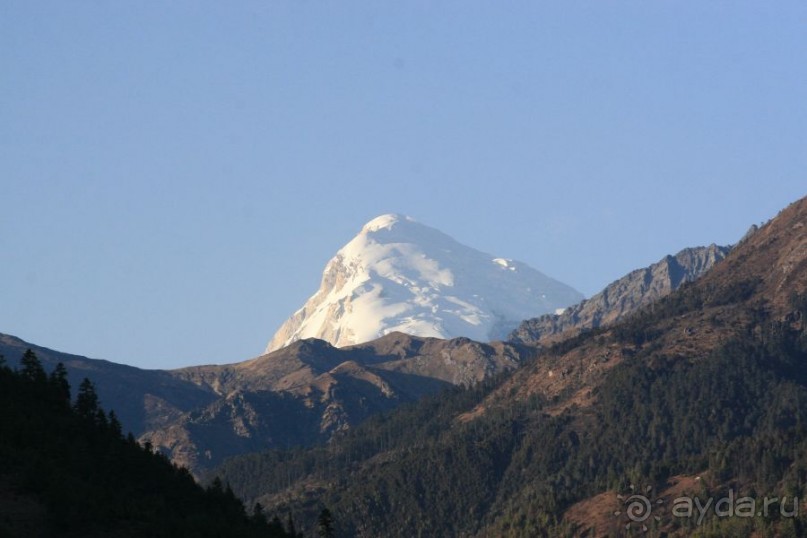 Игрушечное королевство громового дракона