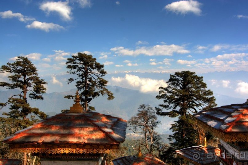 Игрушечное королевство громового дракона