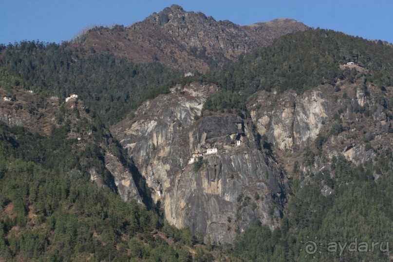 Игрушечное королевство громового дракона