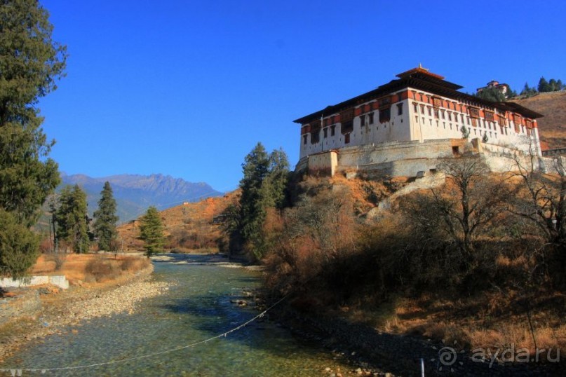 Игрушечное королевство громового дракона