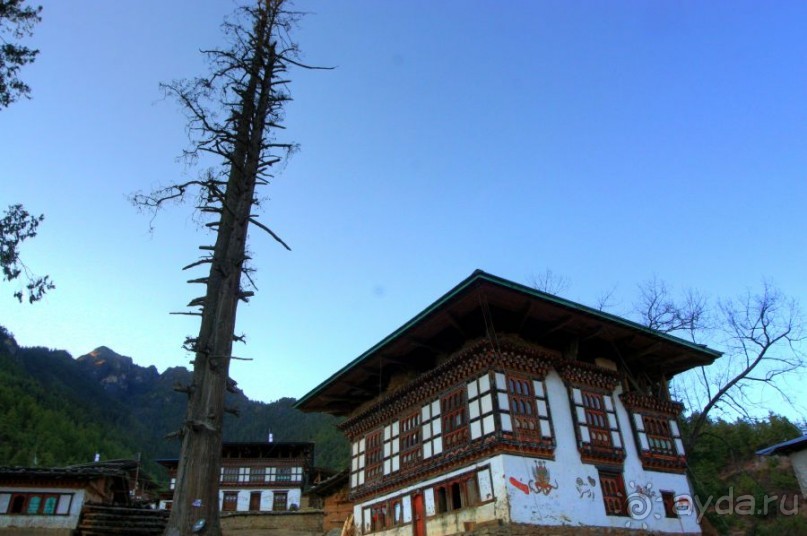 Игрушечное королевство громового дракона