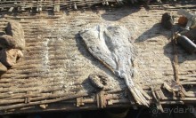 Серекунда туристическая. Вяленая рыба и другие животные