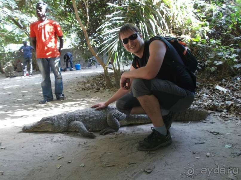 Серекунда туристическая. Вяленая рыба и другие животные