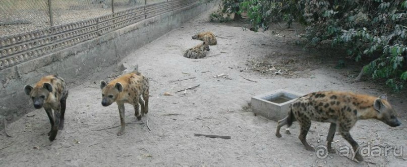 фото Гамбии