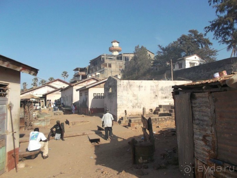 Серекунда туристическая. Вяленая рыба и другие животные