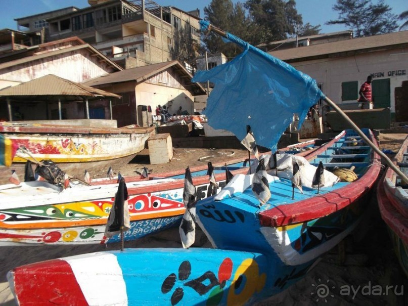 Серекунда туристическая. Вяленая рыба и другие животные