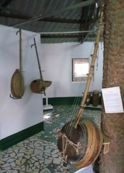 Серекунда туристическая. Вяленая рыба и другие животные