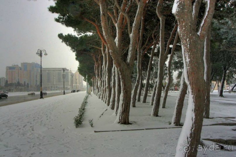 Иран горнолыжный, русские сезоны