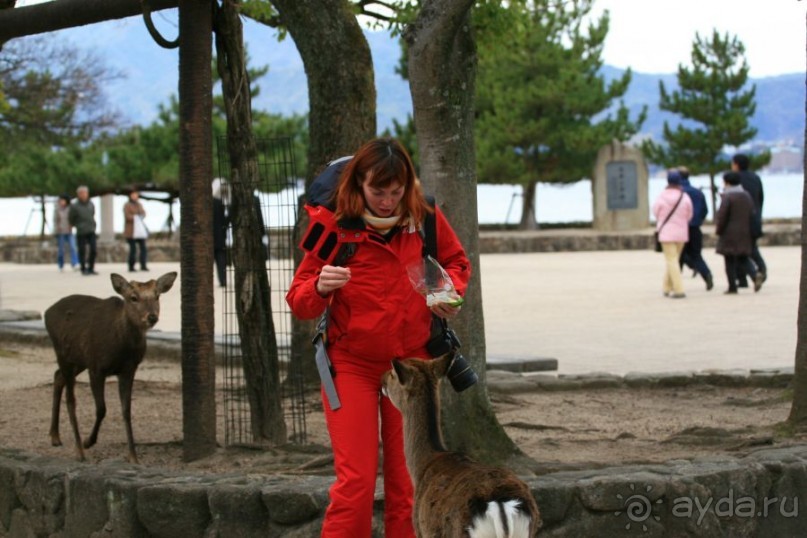 Хиросима, Миядзима