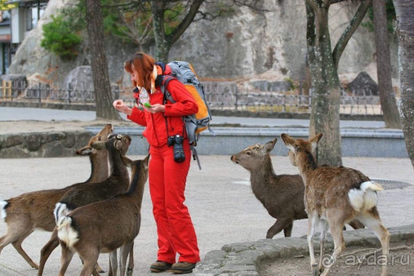 Хиросима, Миядзима