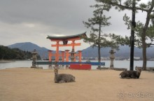 Хиросима, Миядзима