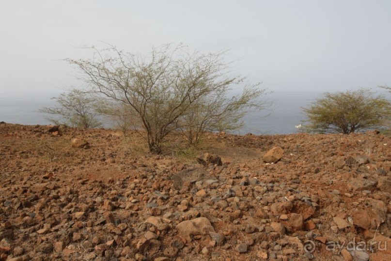 Рабы и пираты Сидаде Вельи