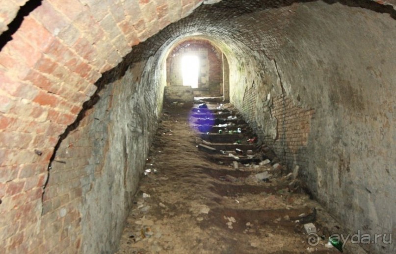 фото Бобруйска