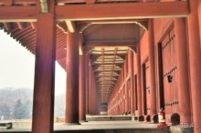 Следопыты юрского периода