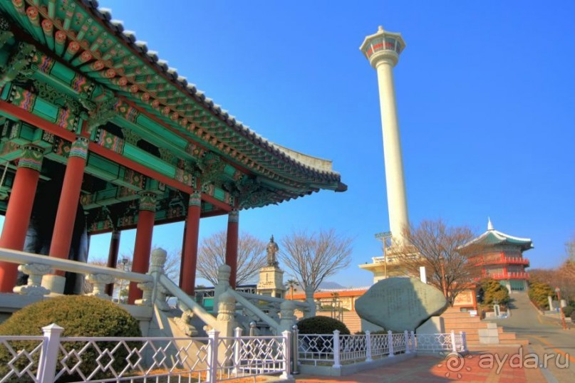 Следопыты юрского периода