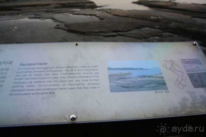 Следопыты юрского периода