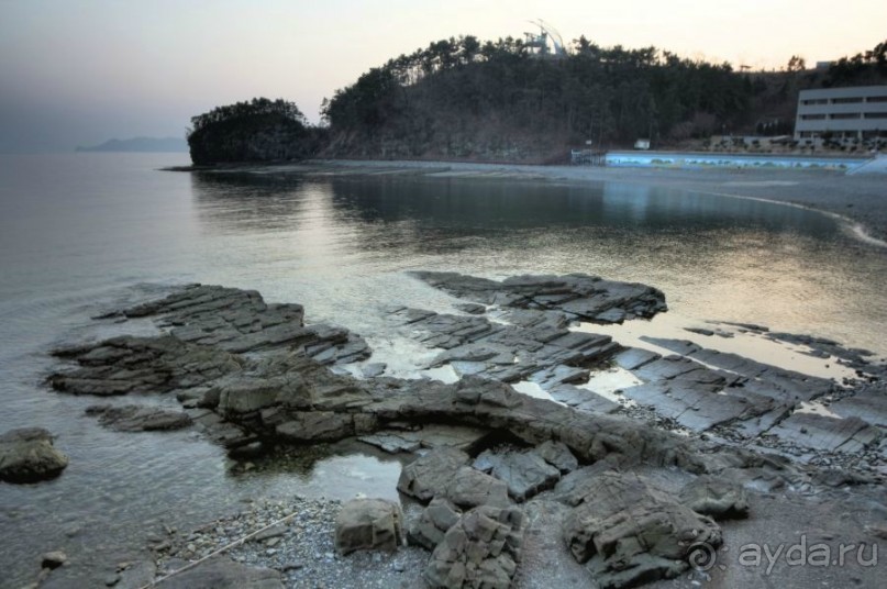 Следопыты юрского периода