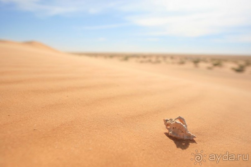 Мавританские развлечения