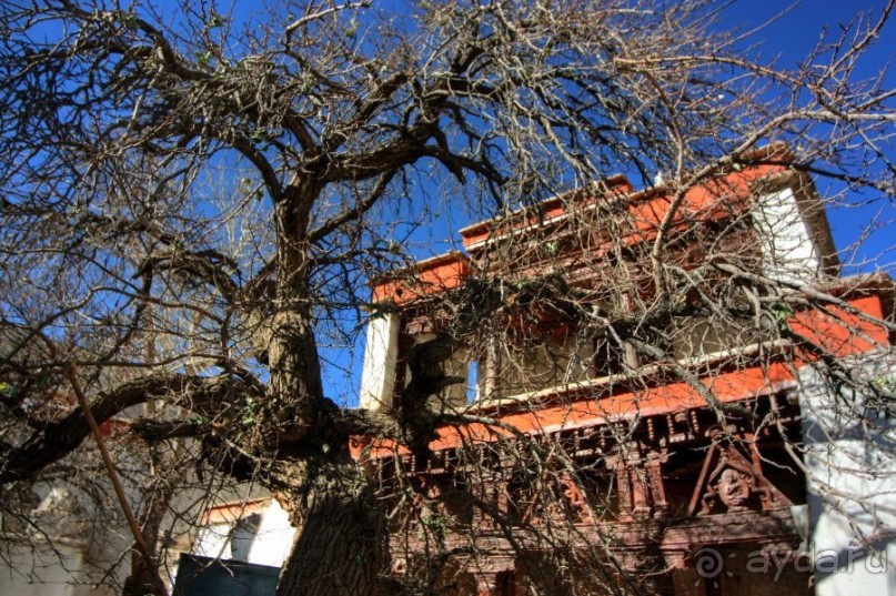 Альбом отзыва "Холодная Индия. Северный Ладакх"