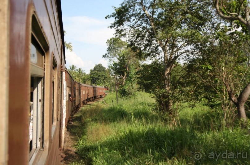 Золотое кольцо Цейлона. Анурадхапура,Коломбо