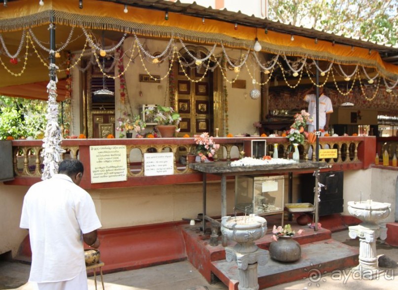 Золотое кольцо Цейлона. Анурадхапура,Коломбо