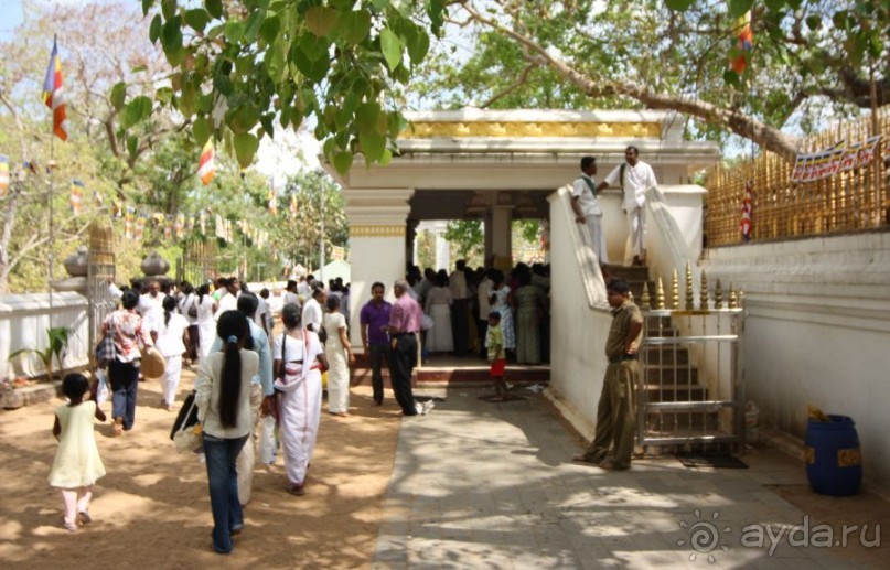 Золотое кольцо Цейлона. Анурадхапура,Коломбо