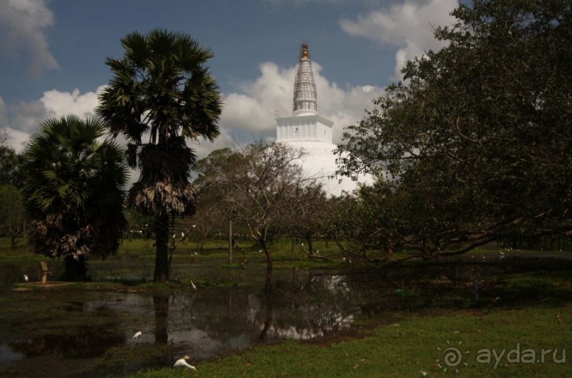 Золотое кольцо Цейлона. Анурадхапура,Коломбо