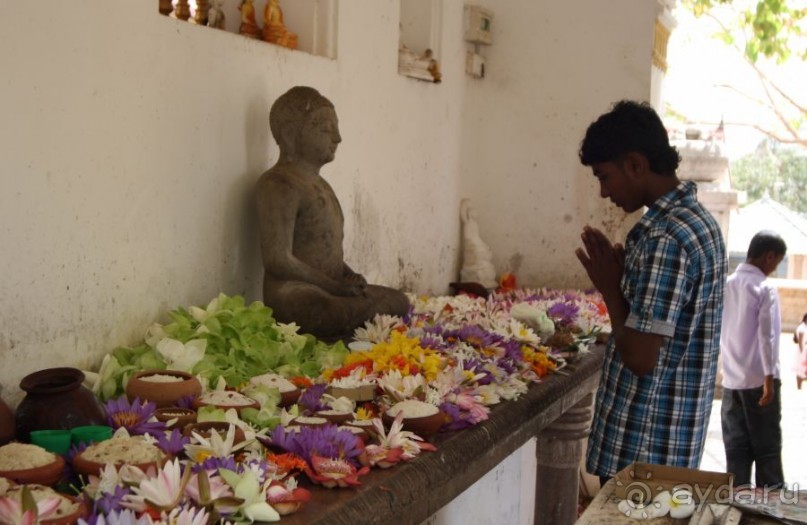 Золотое кольцо Цейлона. Анурадхапура,Коломбо