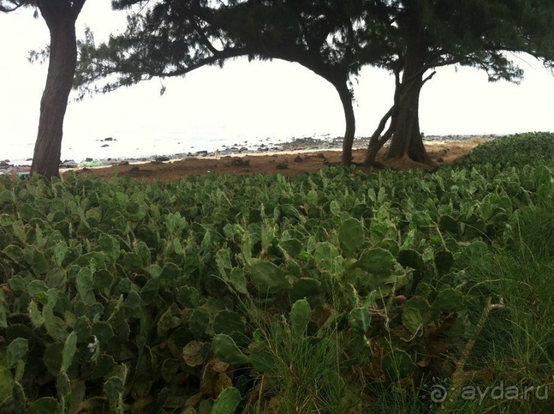 Как мы в Гамбии отель Каддафи "покупали"