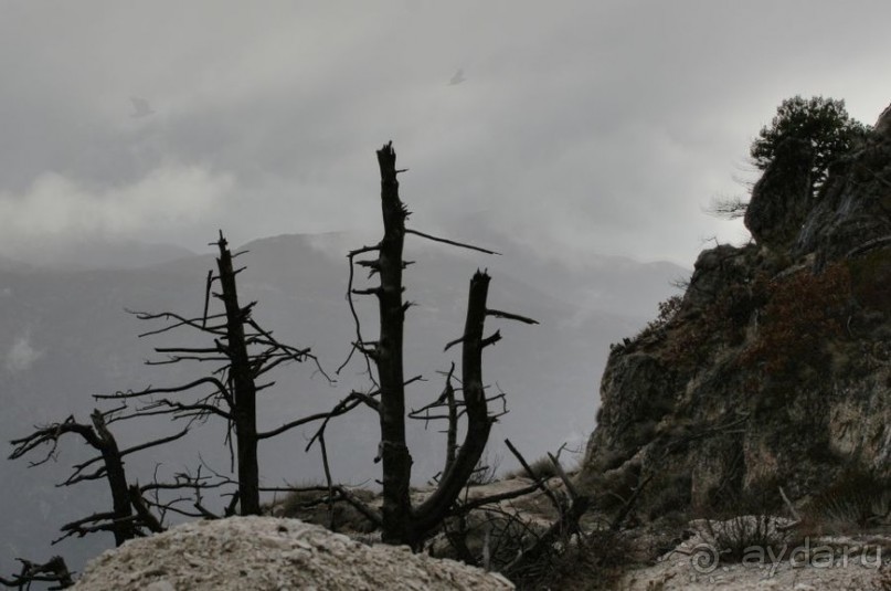 Сокровища Балкан. Мостар, балканский феникс