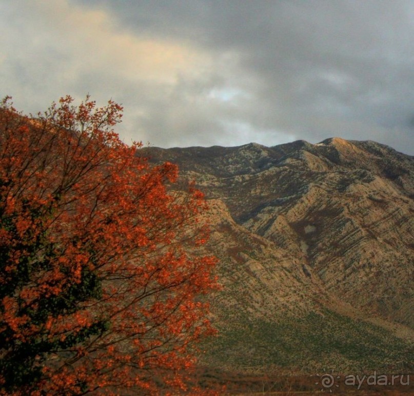 Сокровища Балкан. Мостар, балканский феникс