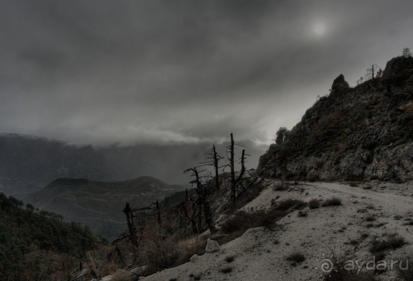 Сокровища Балкан. Мостар, балканский феникс