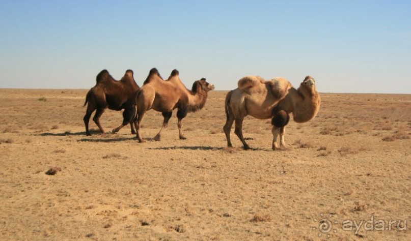 Космический туризм в действии