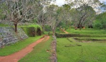 Золотое кольцо Цейлона. Сигирия