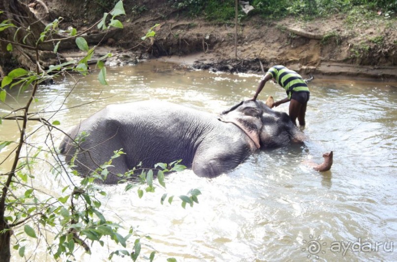 Золотое кольцо Цейлона. Сигирия
