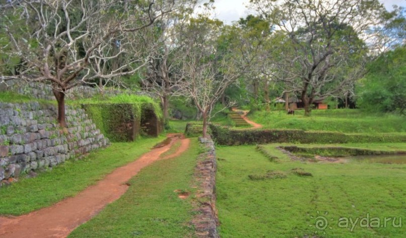 Золотое кольцо Цейлона. Сигирия