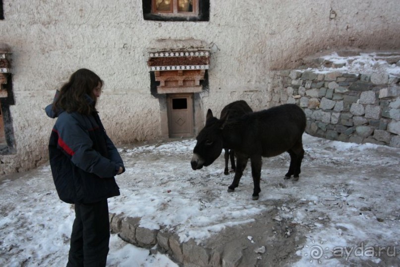 Холодная Индия. Тибет священный